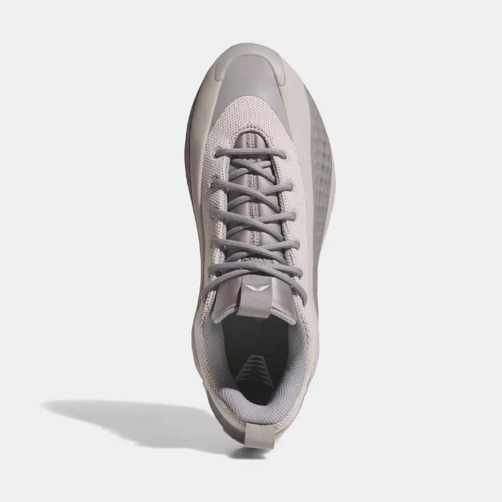 Баскетбольні кросівки чоловічі adidas Anthony Edwards 1 Low