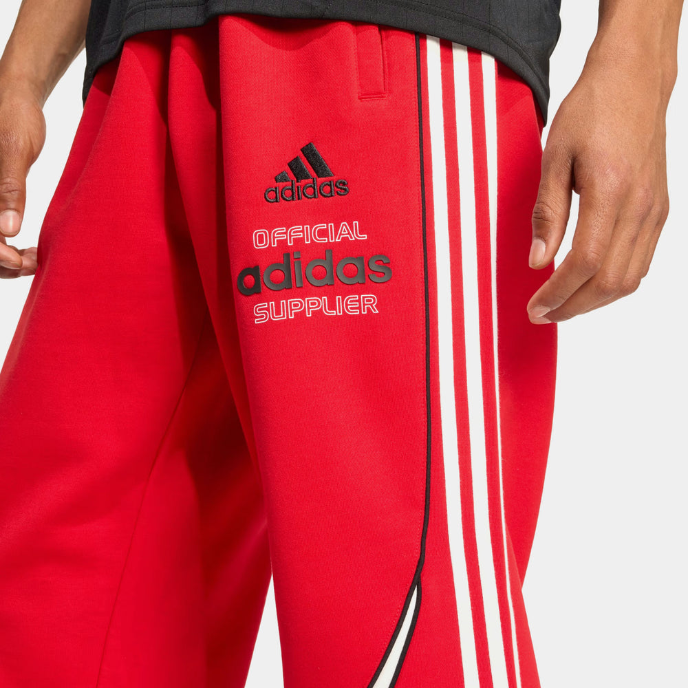 Штани чоловічі adidas Teamgeist Graphic Fleece