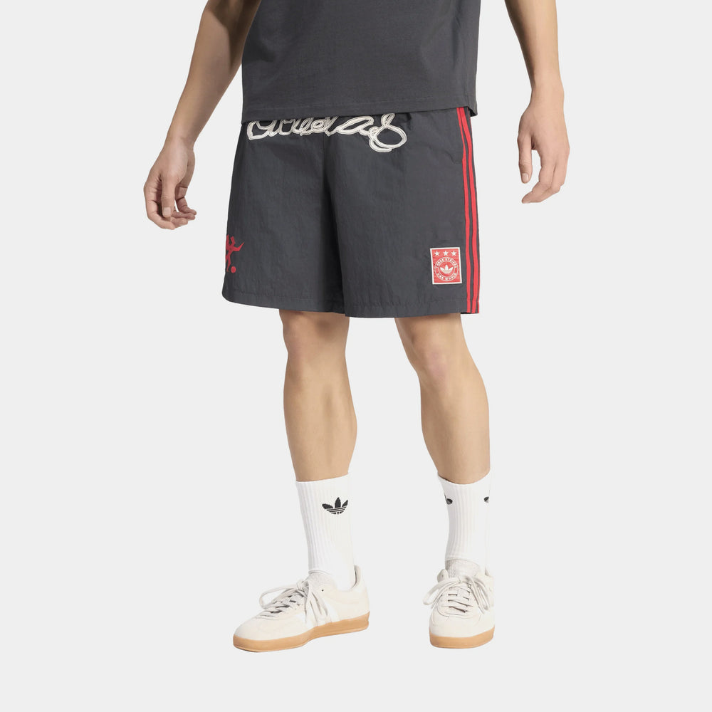 Шорти чоловічі adidas Originals One World Graphic