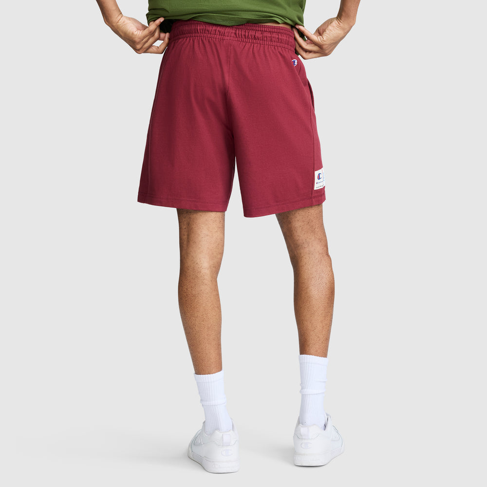 Шорти чоловічі Champion Jersey Script 7"