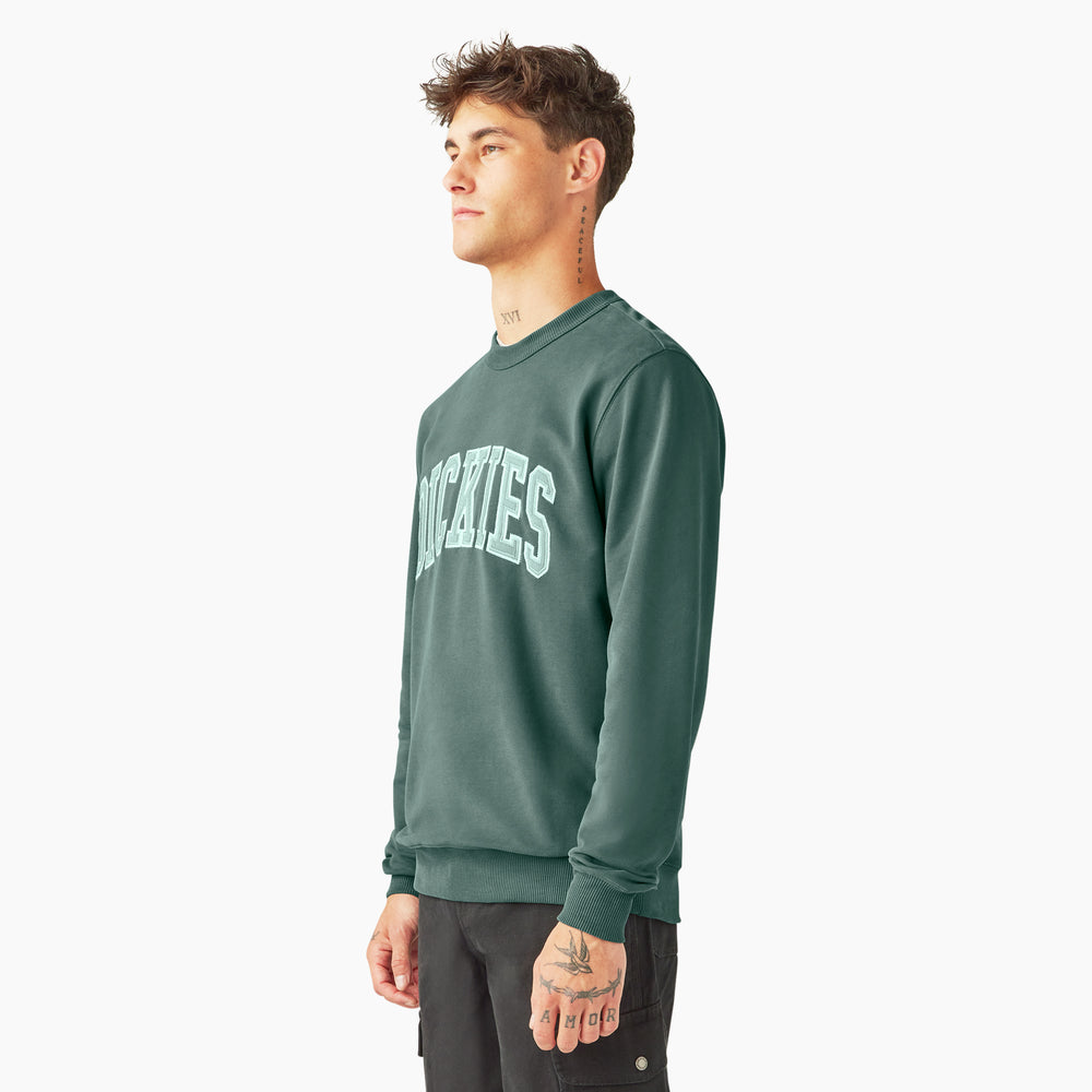 Світшот чоловічий Dickies Aitkin