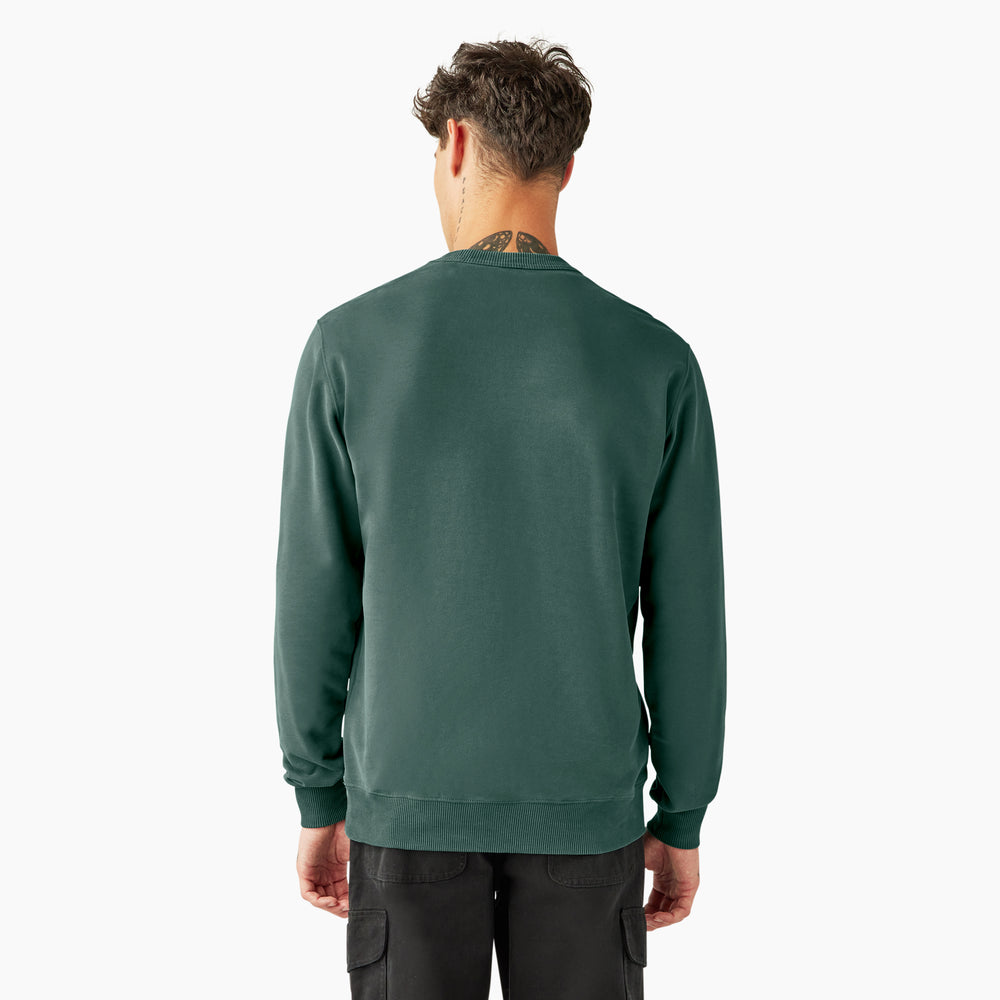 Світшот чоловічий Dickies Aitkin