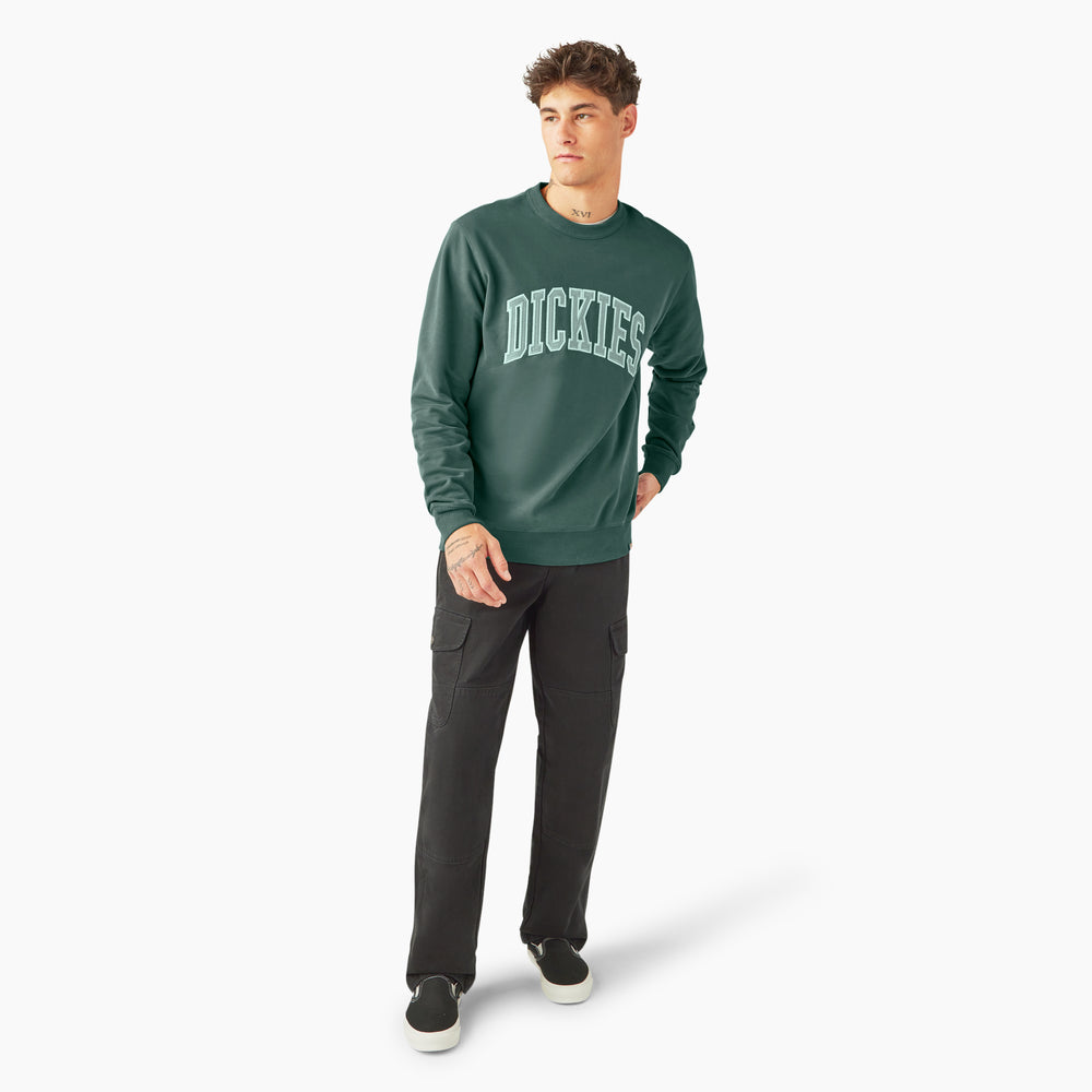 Світшот чоловічий Dickies Aitkin