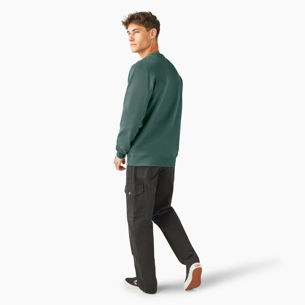 Світшот чоловічий Dickies Aitkin