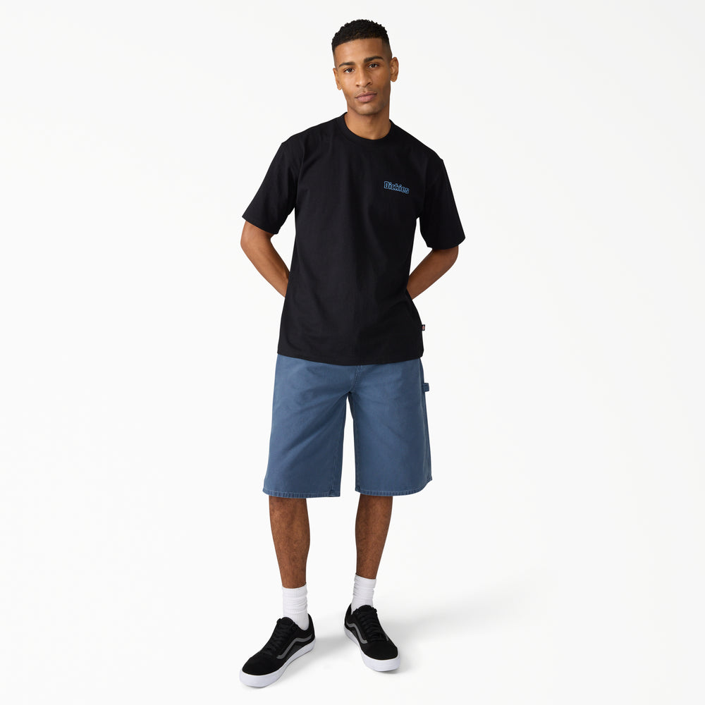 Шорти чоловічі Dickies Worn In Relaxed Carpenter Duck