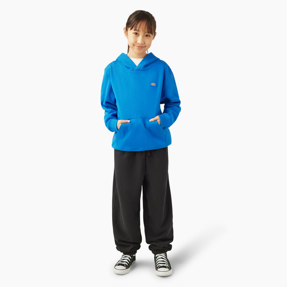 Худі дитяче Dickies Oakport