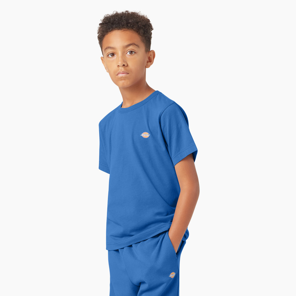 Футболка дитяча Dickies Mapleton