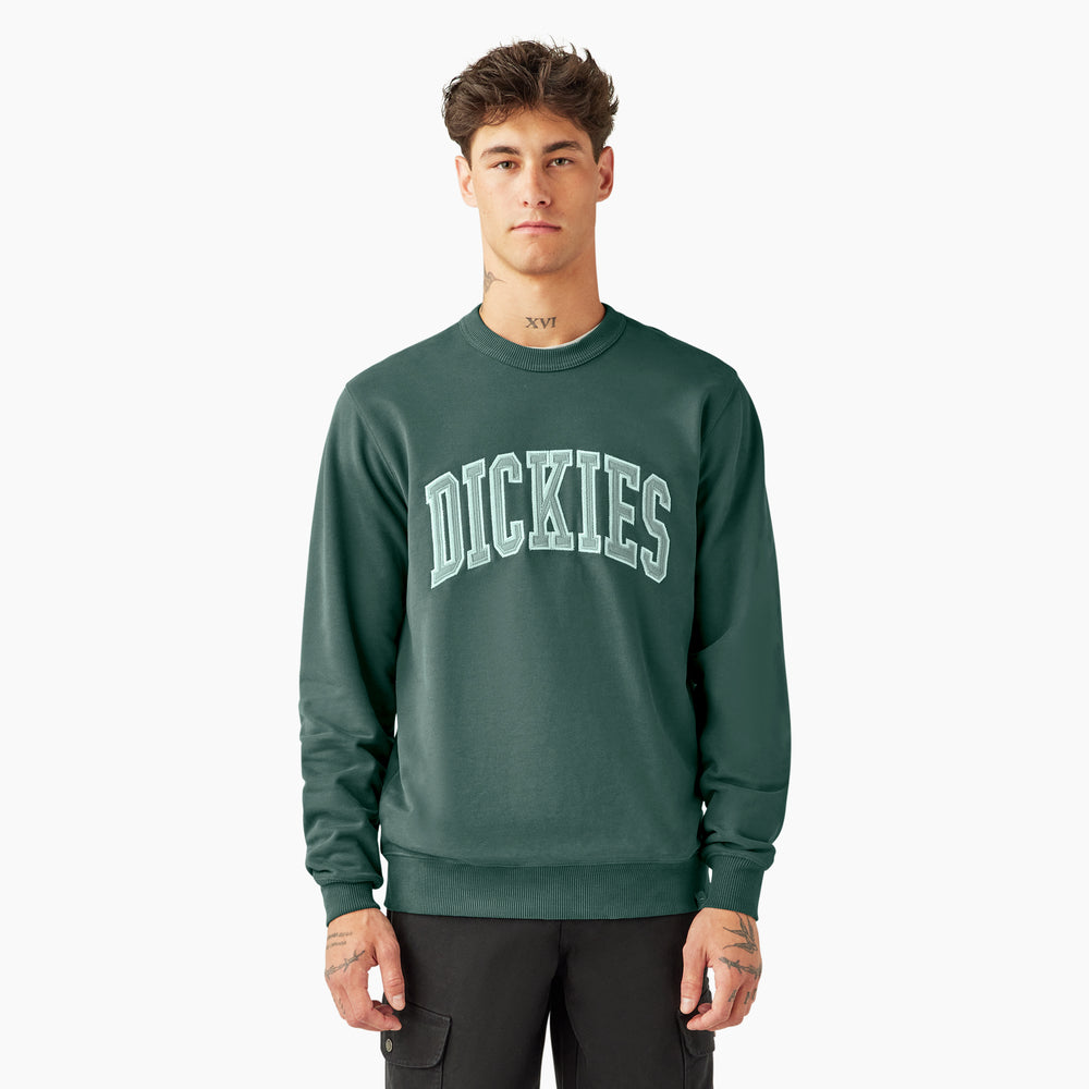 Світшот чоловічий Dickies Aitkin
