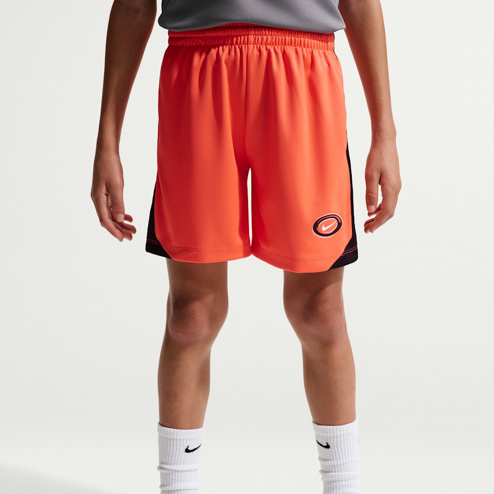 Шорти дитячі трикотажні Nike Multi