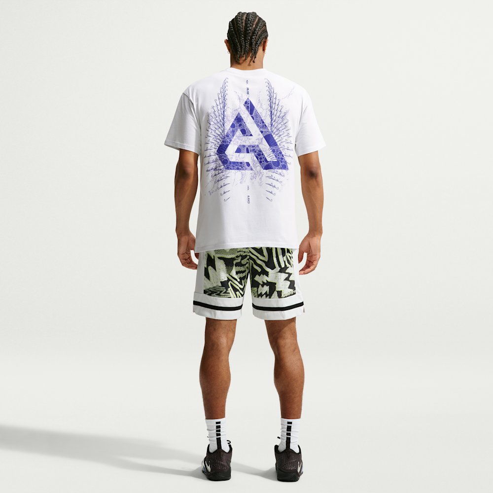 Футболка чоловіча Nike Giannis