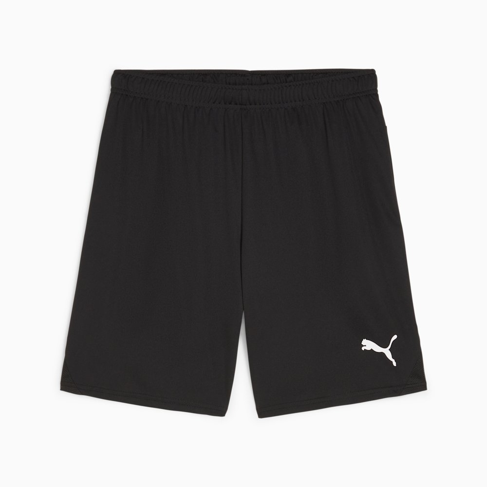 Шорти чоловічі PUMA teamGOAL