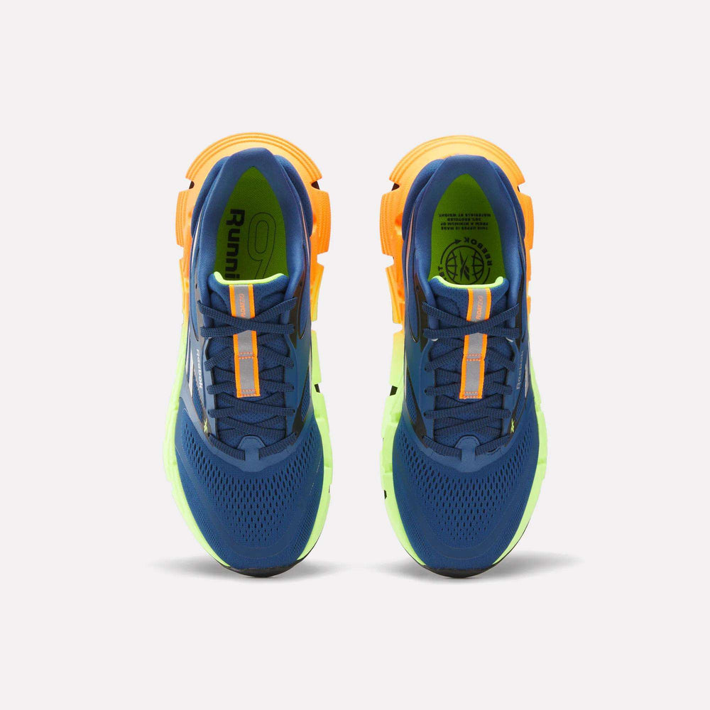 Кросівки для бігу чоловічі Reebok FloatZig 2