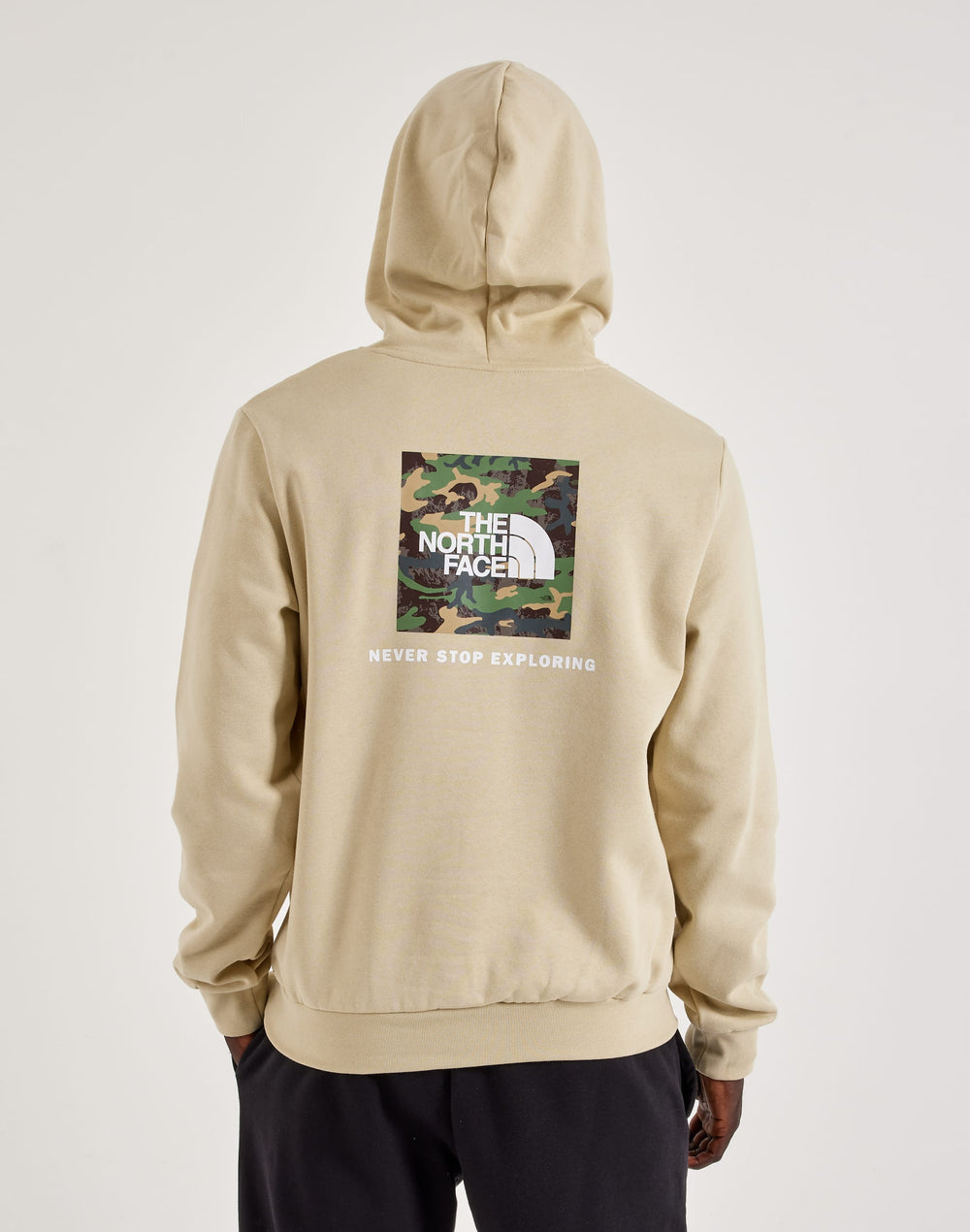 Худі чоловіче The North Face Evolution Box Logo Fleece