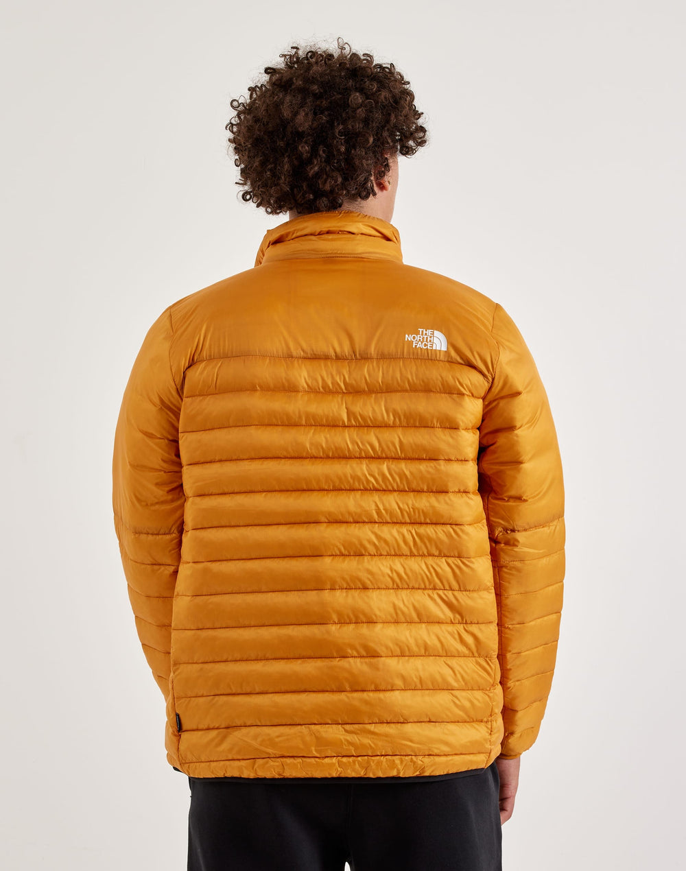 Куртка чоловіча The North Face Terra Peak