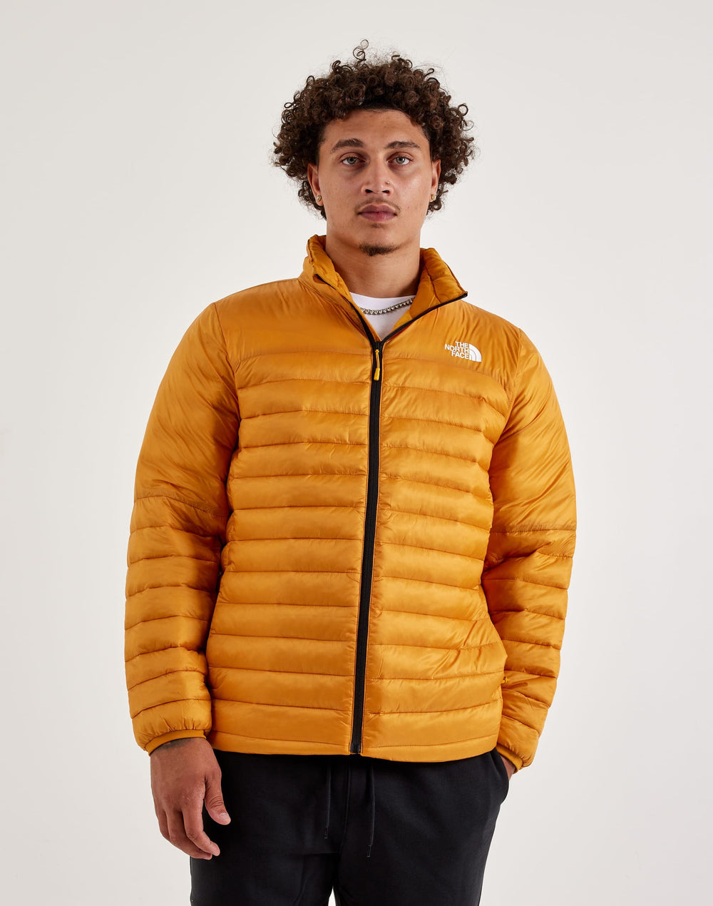 Куртка чоловіча The North Face Terra Peak